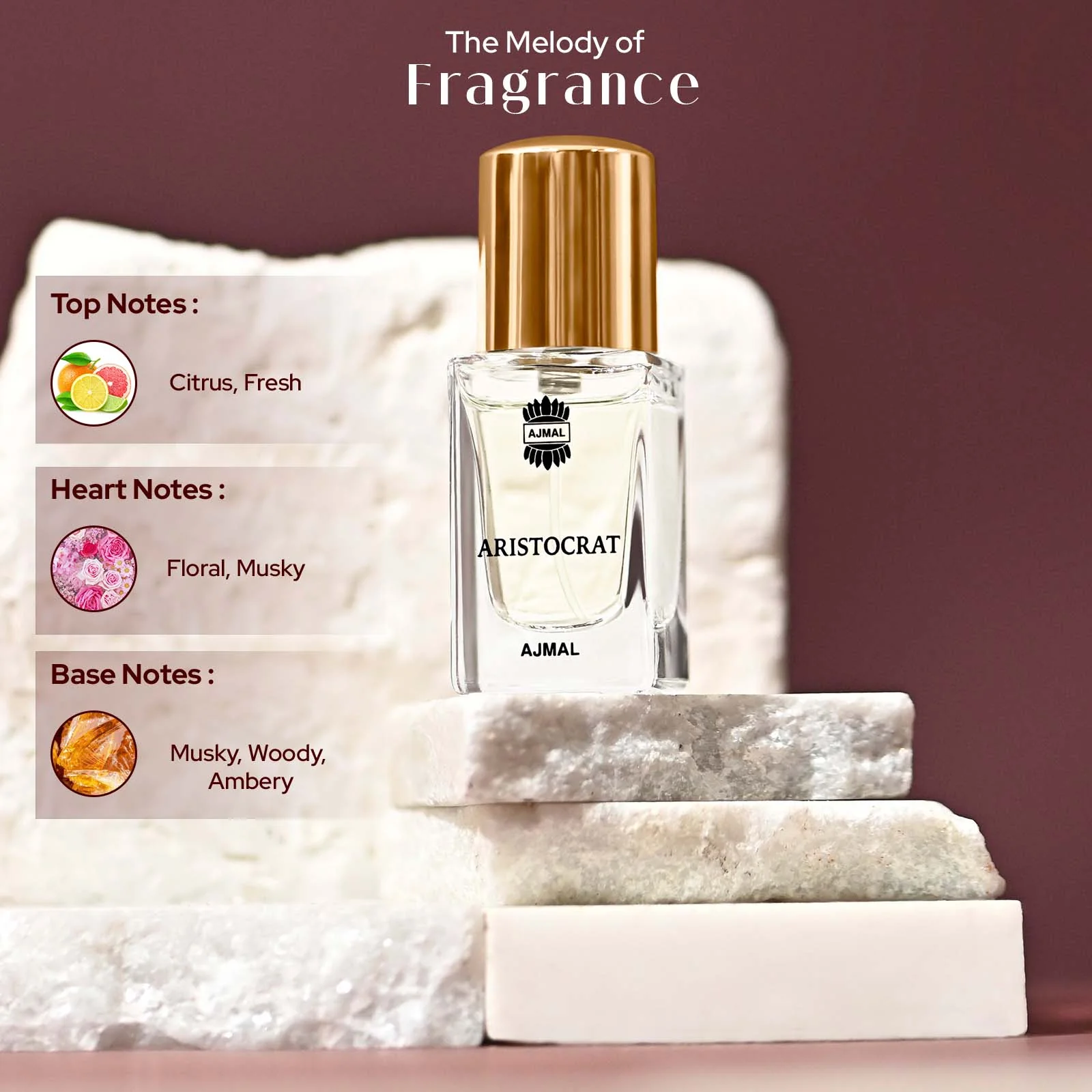 ARISTOCRAT - Image 10
