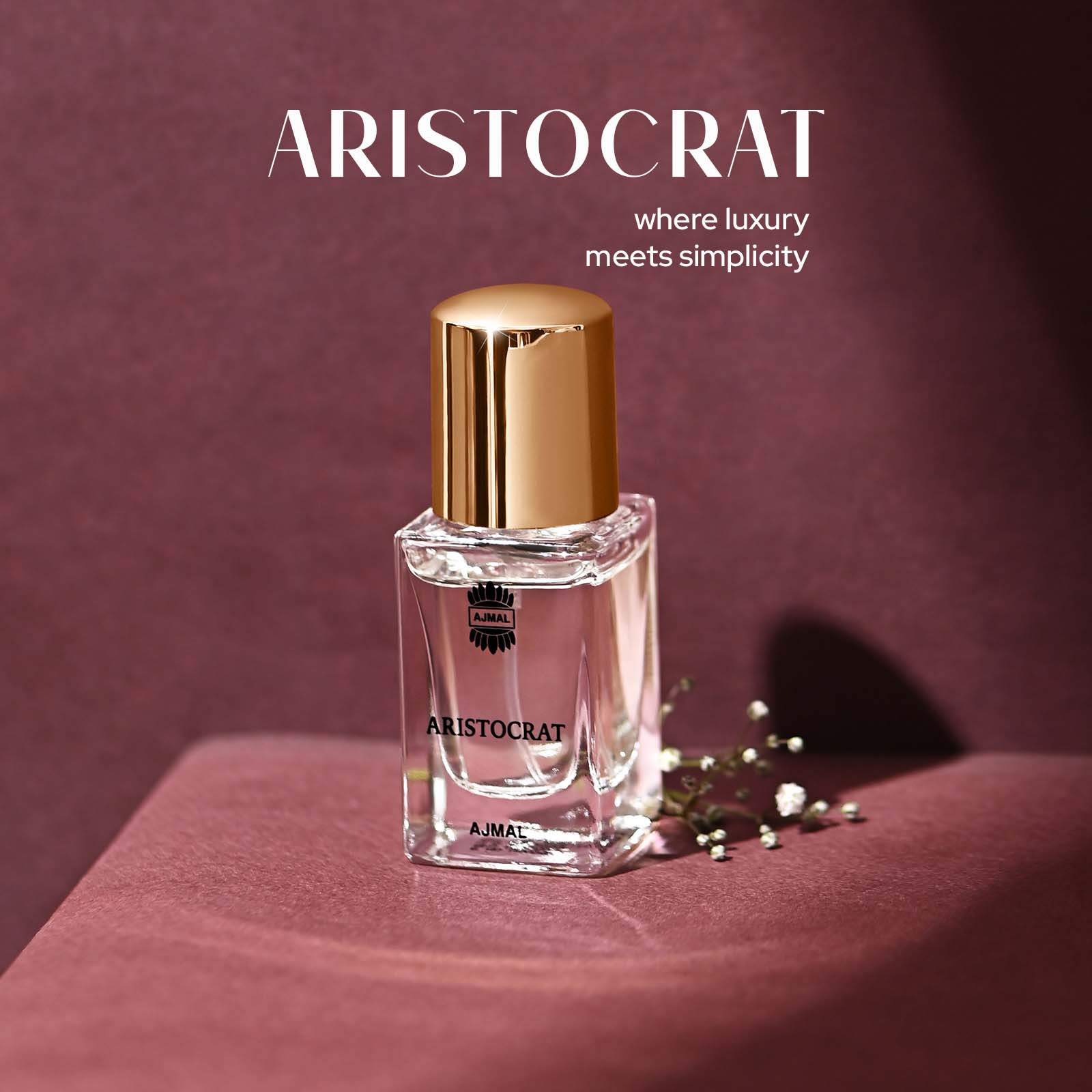 ARISTOCRAT - Image 8