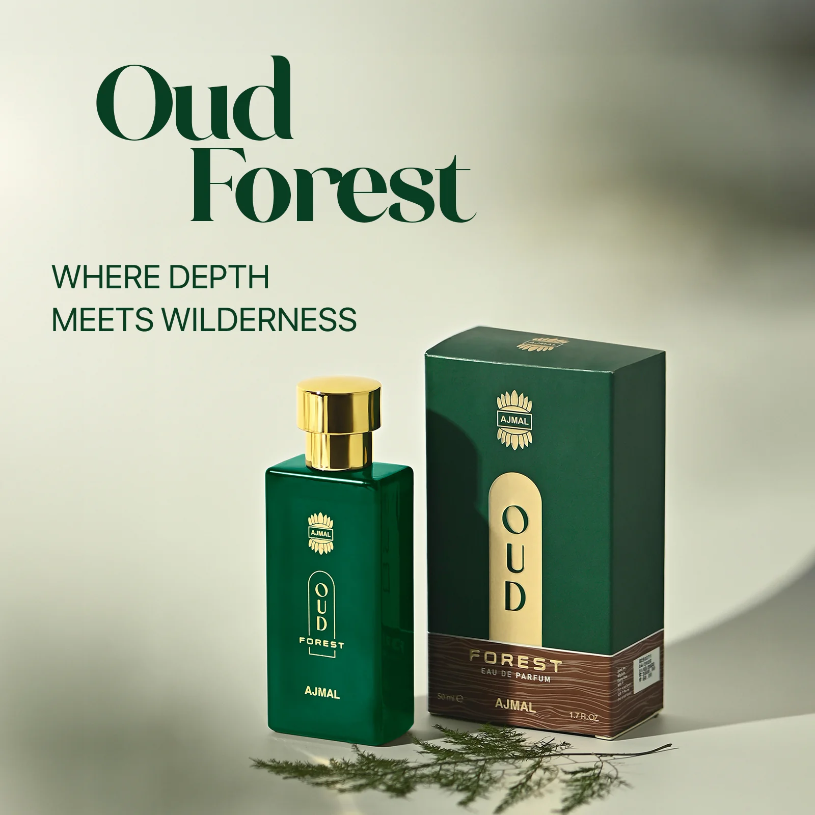 Oud Forest Perfume 50 ML for Unisex - Image 3