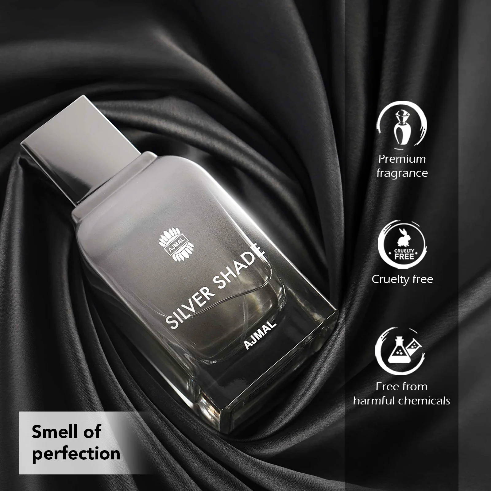 SILVER SHADE Perfume 100ML for Men - Image 3