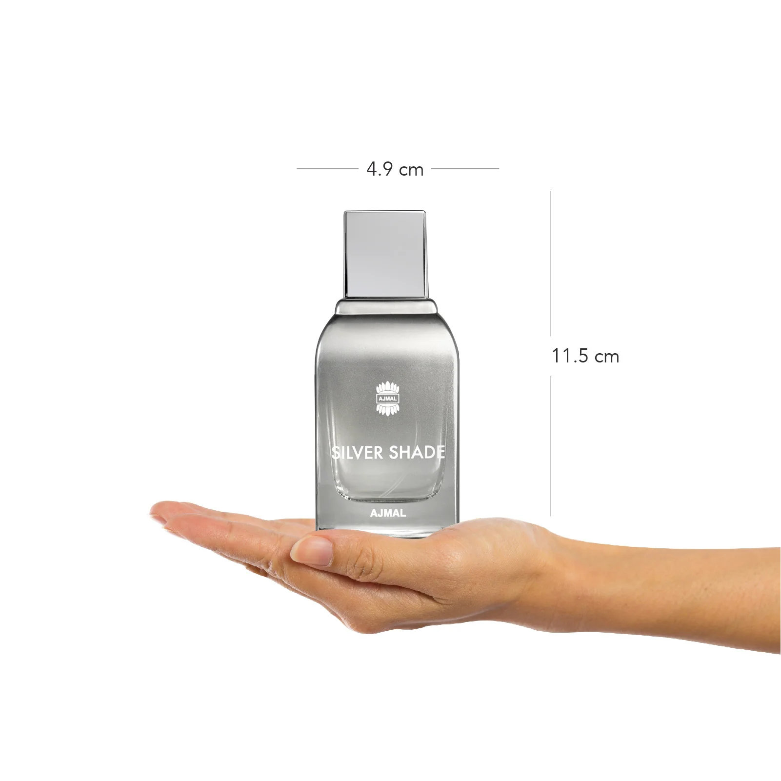 SILVER SHADE Perfume 100ML for Men - Image 6